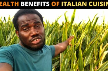 HOW ITALIAN CUISINE IMPACTED MY NUTRITIONAL HEALTH