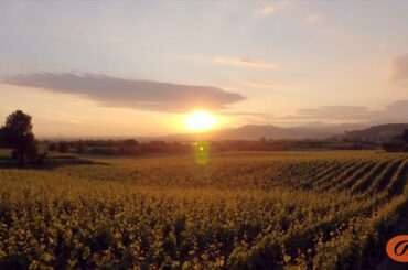 Bellavista - Air Your Wine - Franciacorta - The Film