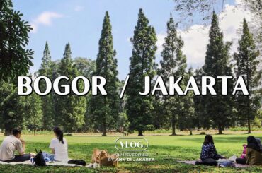 #35 Bogor, Jakarta VLOG / Picnic Botanical Garden, GBK, Strolling Park, Grocery Haul, Foods