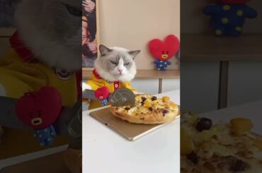 Watch the products of the cooking cat - funny cat #shorts #cat #funny