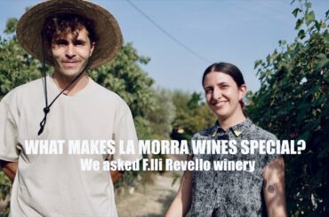 Barolo wines from La Morra @Fratelli Revello winery