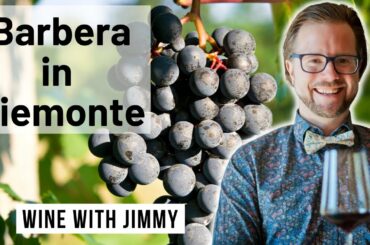 WSET Level L4 Discovering Piemonte Barbera