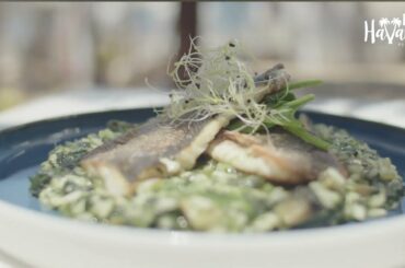 Red Havana Premium... A fine dining experience... Day & Night !