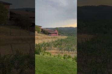 Tuscany wine tasting estate (modern house) - Florence, Italy