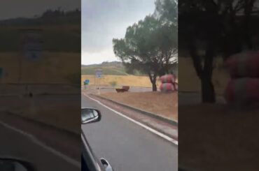 Driving through Tuscany wine country - Florence, Italy