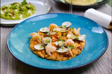 Risotto Menu at Fine Dining Italian Restaurant