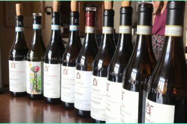 How it’s like to do wine tasting in Italy | Degustazione di vino a Barolo | #shorts