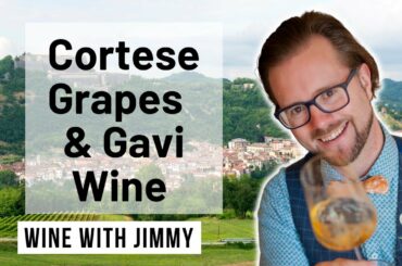 WSET Level 4 Italy - Cortese in Piemonte