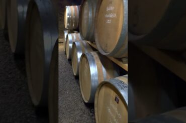 Wine Tasting at the Poderi Gianni Gagliardo vineyard. Located in the region of Piemonte Italy