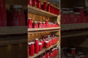 #italian #italianamerican #basement