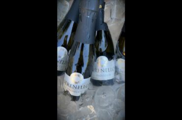 Happy National Prosecco Day! #Shorts