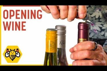 How To Open a Bottle Of Wine 1 | The Best Bottle Opener | SippyBee