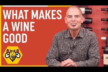 What Makes a Wine Good | SippyBee