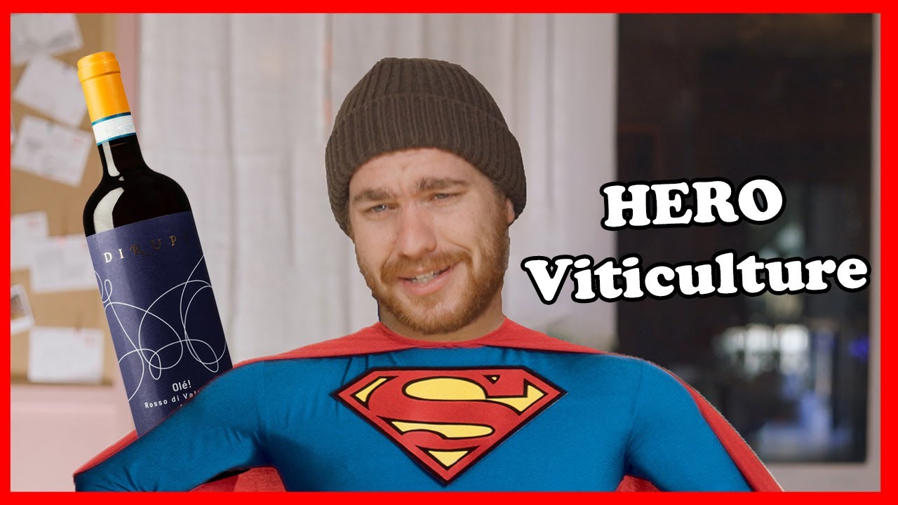 This Was Unexpected! | Blind Wine Reviews This Was Unexpected! | Blind Wine Reviews