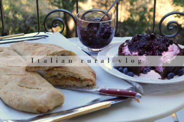 SWEET or SAVOURY snack? Home cooking in Italy | Blueberry cheesecake and stuffed pizza | Slow living