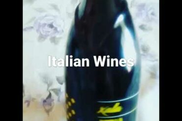 Sparkling Wine Veneto