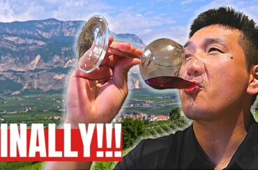 The Last WINE Region on my BUCKET LIST | Spoiler ALERT | You Should go too!