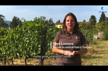 GLOBALink | Italian farmers struggling with record hot and dry summer