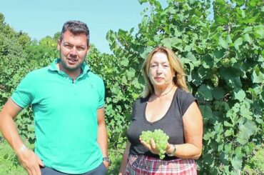 Anna Spinato Winery - Borsa Vini Tokyo 2022