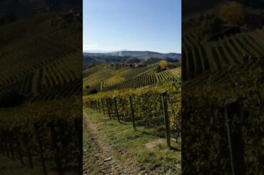 TOUR ITALIA: Le LANGHE , Serralunga d'Alba