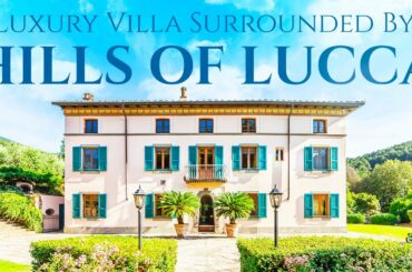 Luxury Countryside Complex with Olive Grove and Vineyards For Sale in Lucca | Lionard