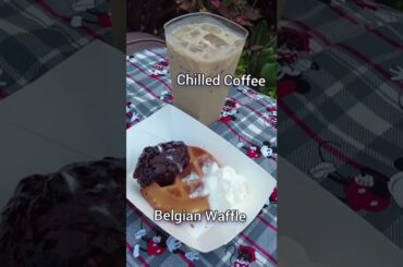 EPCOT International Food and Wine Festival 2022: Belgium & Italy