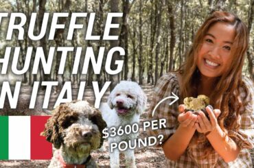 BEST THINGS TO DO in TUSCANY, ITALY (truffle hunting and wine tasting)