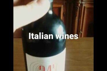 Red Italian Wines