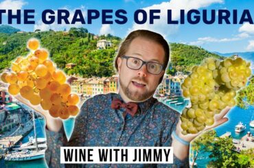 WSET Level 4 Diploma Italy Liguria Part 3: The Grapes