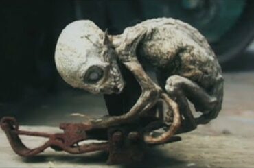 They Discovered In Italy What No One Was Supposed to See