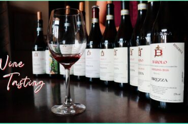 Barolo Wine Tasting Experience | Vineyards & Winery Tour | Barolo, Piedmont Italy