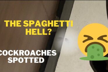 Dining at The Spaghetti House | Hong Kong