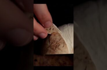 Yummy Pizza #indianfood #italian