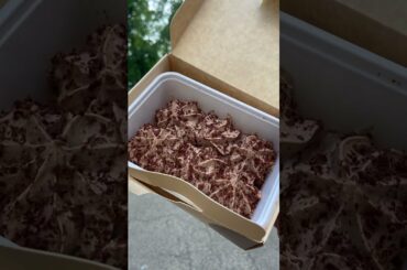 Italian Tiramisu #shorts #italian #food #travel #tiramisu #london