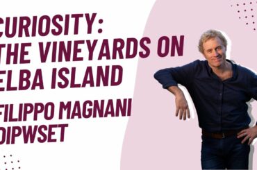 Curiosity: The Vineyards on Elba Island with Filippo Magnani