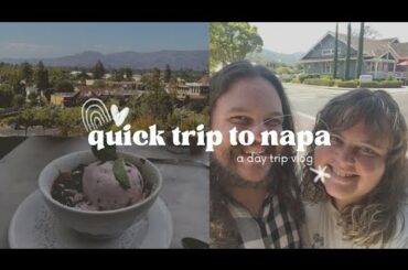 Celebrating Josh's Birthday in Napa Valley: Wining, Dining, and Adventuring!