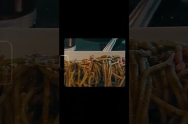 POV you're eating at an italian restaurant #italianfood #italian #comidaitaliana #foodie #foodlover