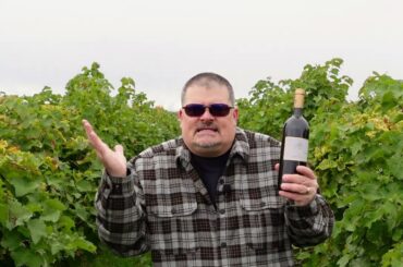 Le Mortelle 2018 Poggio alle Nane (Italian Wine)