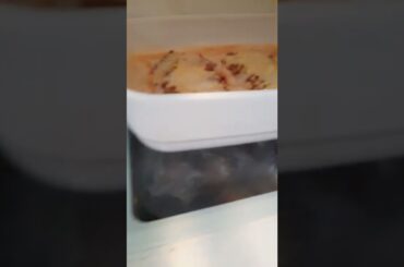 LASAGNA is a italian food, that our lunch for today.