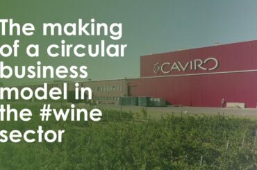 #CAVIRO: the making of a circular business model in the #wine sector