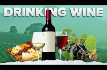 The CORRECT way to drink Wine #shorts