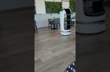 Robert serve food | Japanese restaurant | Italy