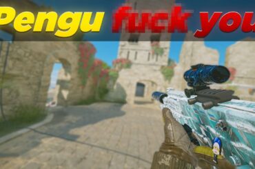 I played pengu in ranked....