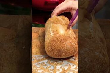 GameDay Super Delicious Italian Sausage Sandwich #shorts #yummy #fooddiaries #foodie #recipe #food