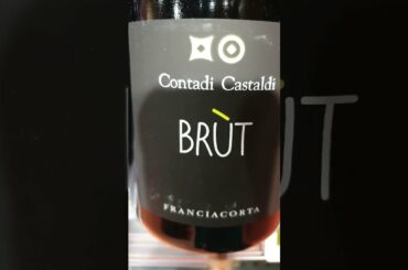 BRUT | WINE | ITALIAN WINES | BEST WINES IN ITALY | #asmr #viral #trending