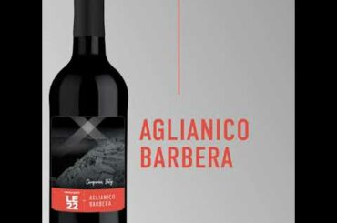 LE22 Aglianico Barbera with Grape Skins - Campania, Italy (Available April 2023)