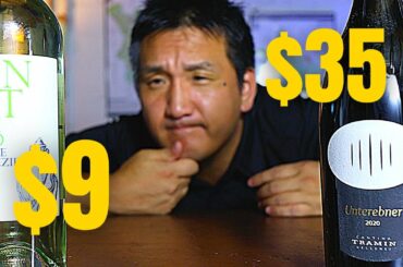 CHEAP vs EXPENSIVE Pinot Grigio FACE-OFF