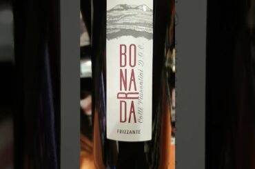 BEST WINE IN ITALY | ASMR | WINE | RED WINE | #shorts #viral #trending