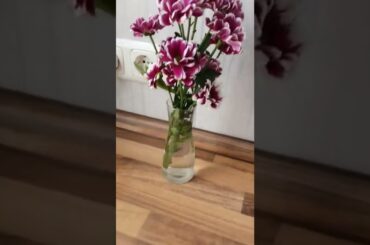 creamy pumpkin soup #cooking #food #pumpkin #italianfood #italianrecipes