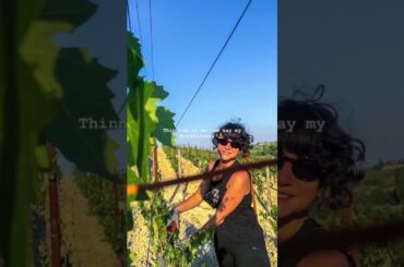 Sine 2018 #Nature has truly strong effect on me #mindfulness #slowliving #winemaker #italianwine